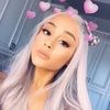 gabbiegrande26